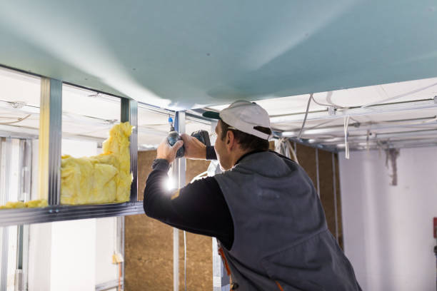 Best Attic Insulation Installation  in Southwest Sandhill, TX