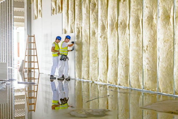 Best Batt and Roll Insulation  in Southwest Sandhill, TX